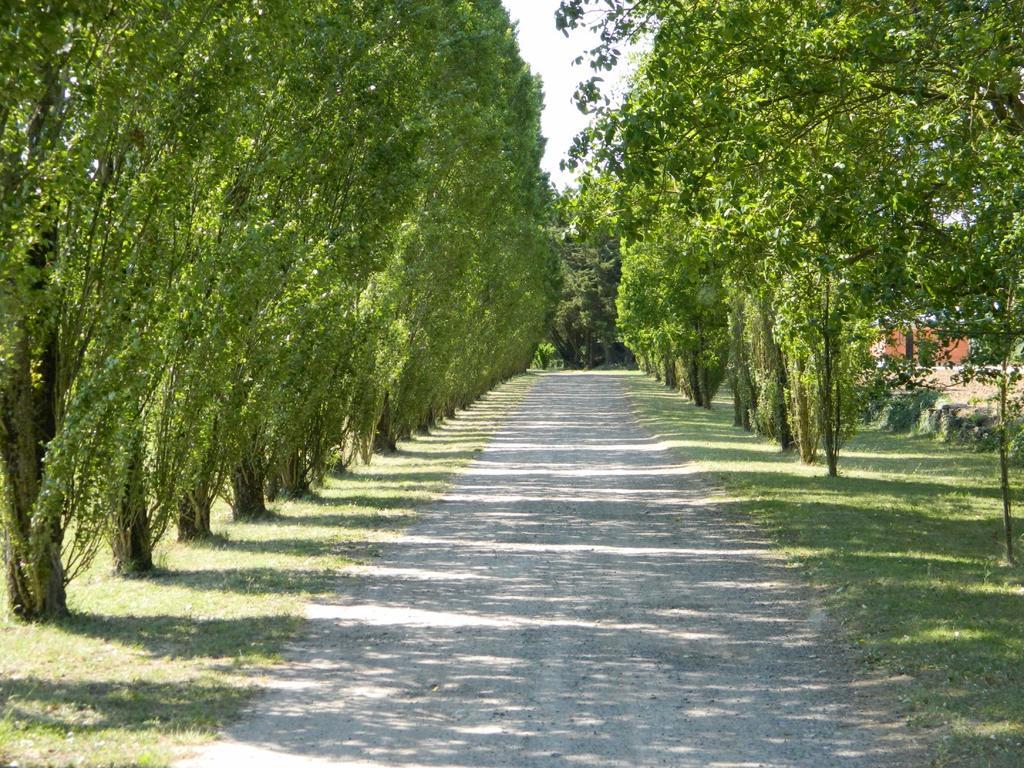 Gite De Cray Lussault-sur-Loire Zewnętrze zdjęcie